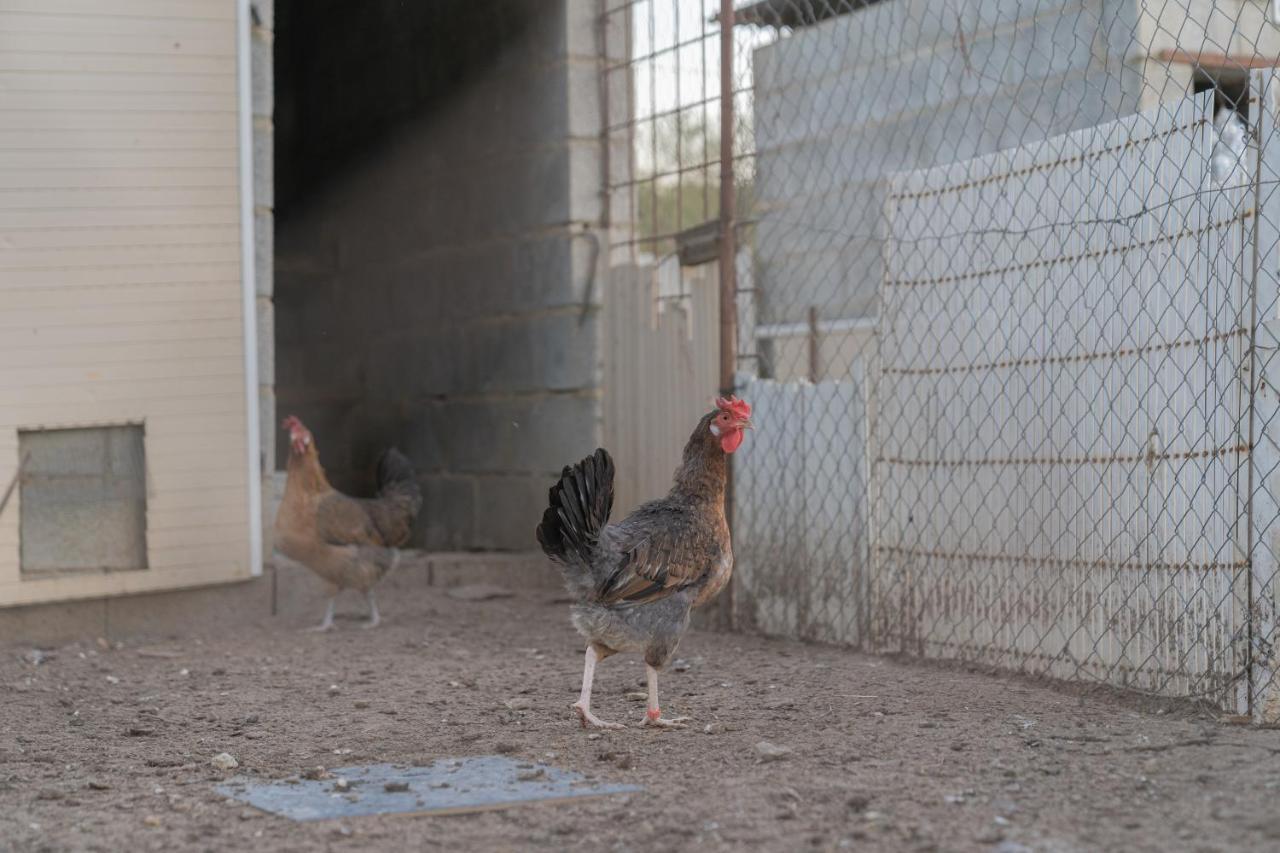 Alojamiento Rural Junto A Via Verde Olvera Exterior photo